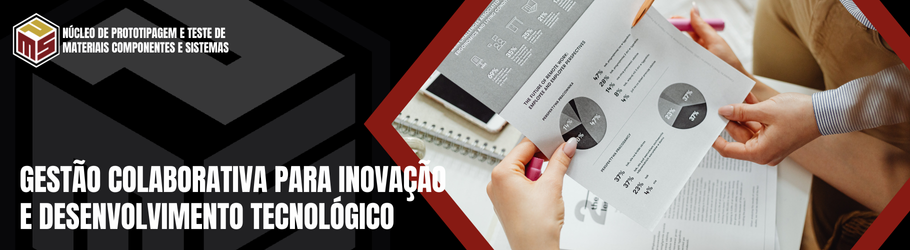 Estrutura organizacional colegiada do Núcleo de Prototipagem e Teste de Materiais, Componentes e Sistemas (PMS)